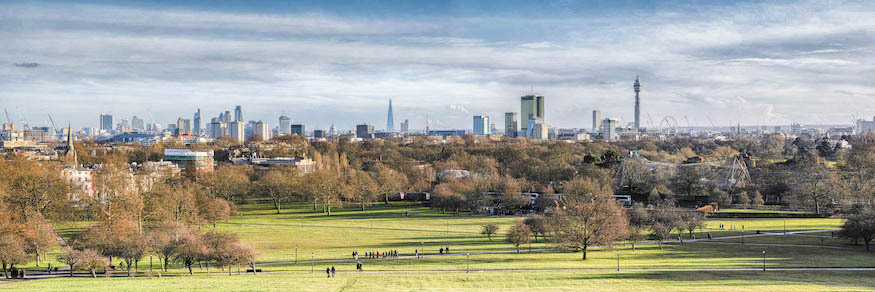 An autumnal view from Primrose HIll