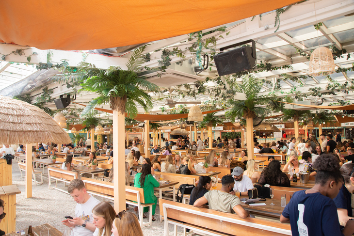 A large rooftop space with lots of light coloured wood and palms