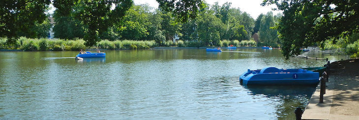 Blue pedalo boats spread out across the Crystal Palace Park lake, including one moored up to the shore underneath a tree