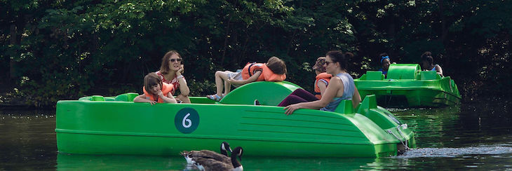 A family of five on a green pedalo. There's a second green pedalo in the background, and a pair of Canada Geese in the foreground