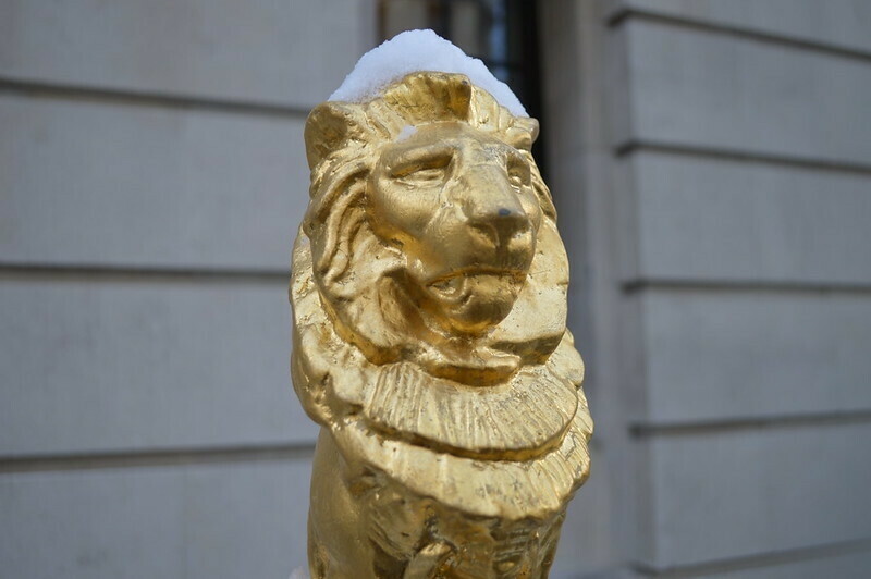 A golden lion head