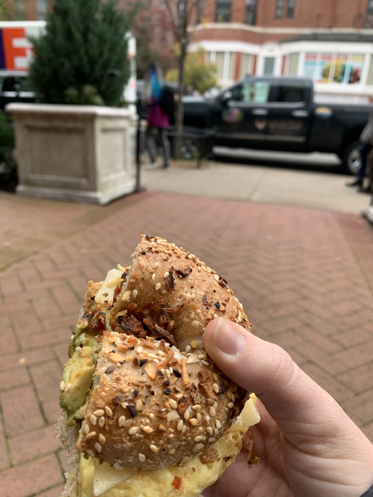 Things To Do In Boston Houmous bagel from Pavement Coffeehouse, eaten on Newbury Street.
