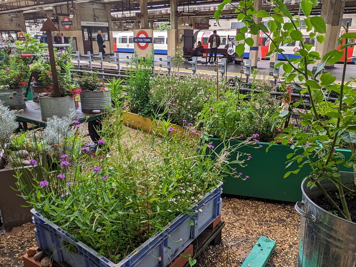 A garden on a tube station platform