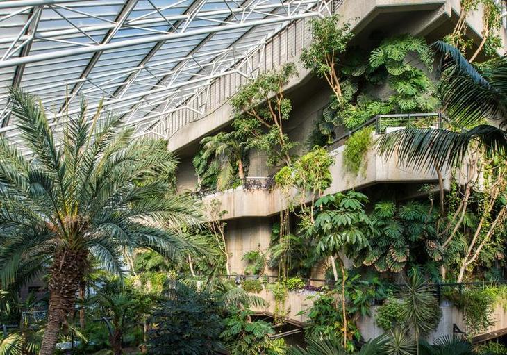 Free Things To Do In London:  The lush, jungle-like Barbican conservatory