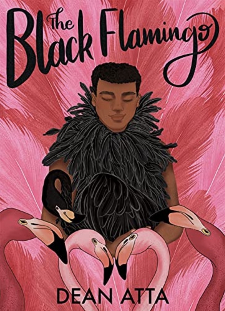Illustrated book cover of someone in black feather outfit surrounded by flamingoes