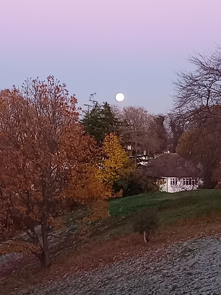 The moon rising over an autumnal park