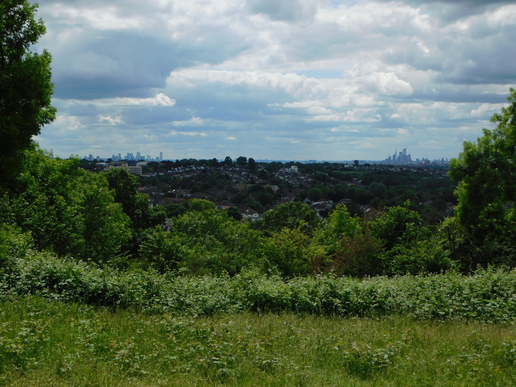 View over Chingford wrapped in greenery