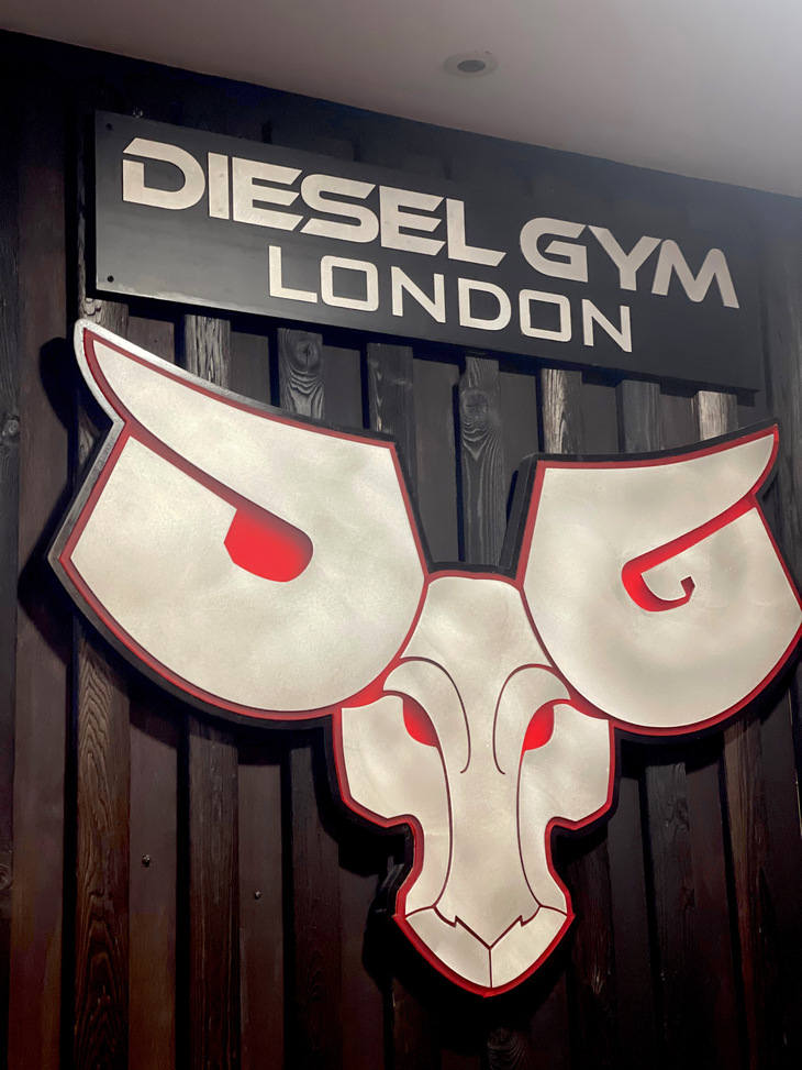 A sign with a ram with huge horns: Diesel Gym