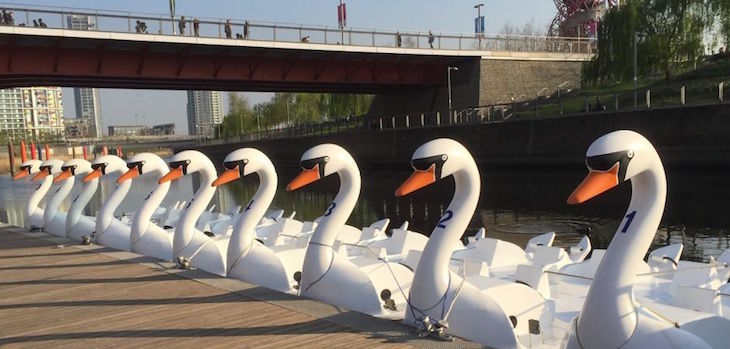 10 swan pedalos lined up alongside a jetty on a canal in the Olympic Park, with a footbridge crossing over the waterway behind.
