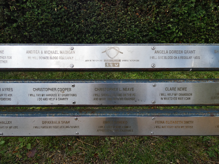 Metal plaques mounted to the back of the bench with people's names and promises, such as 'I will help my grandson in whatever way I can' and ' I will give blood on a regular basis' 