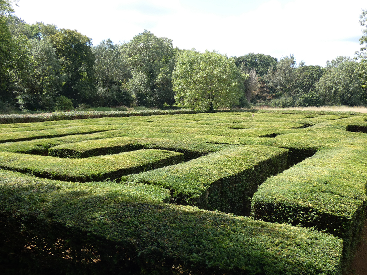 A view across the top of the hedges which make up the yew maze.