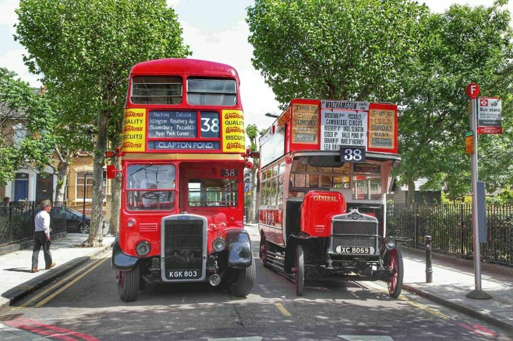 Two Vintage London buses next to one another on a leafy street