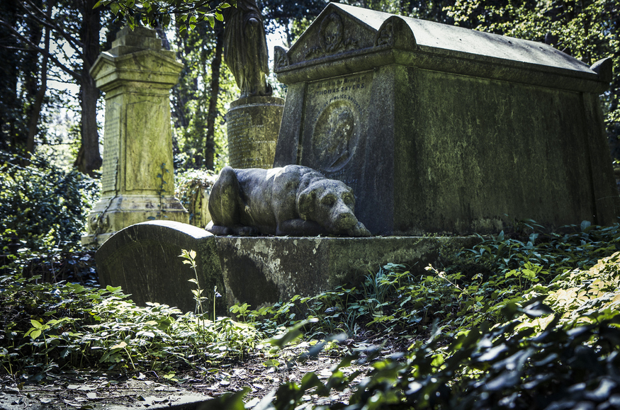 A gravestone shaped like a sad dog