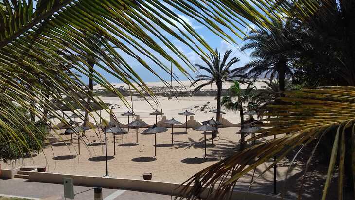 Corralejo in Fuerteventura: palm trees and sunbeds on the beach at Hotel Riu Oliva Beach Resort
