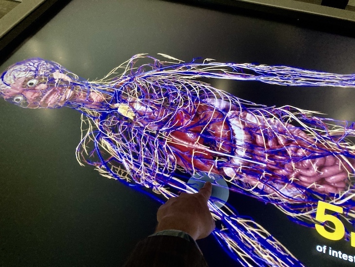 A remarkable interactive screen of a human body you can drag and rotate