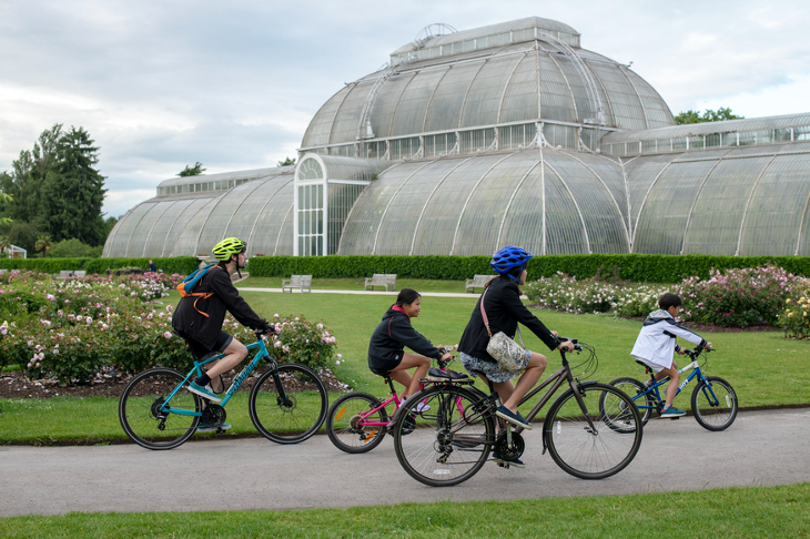 Kew Summer Cycle 2023: A group of cyclists passing a huge palm house