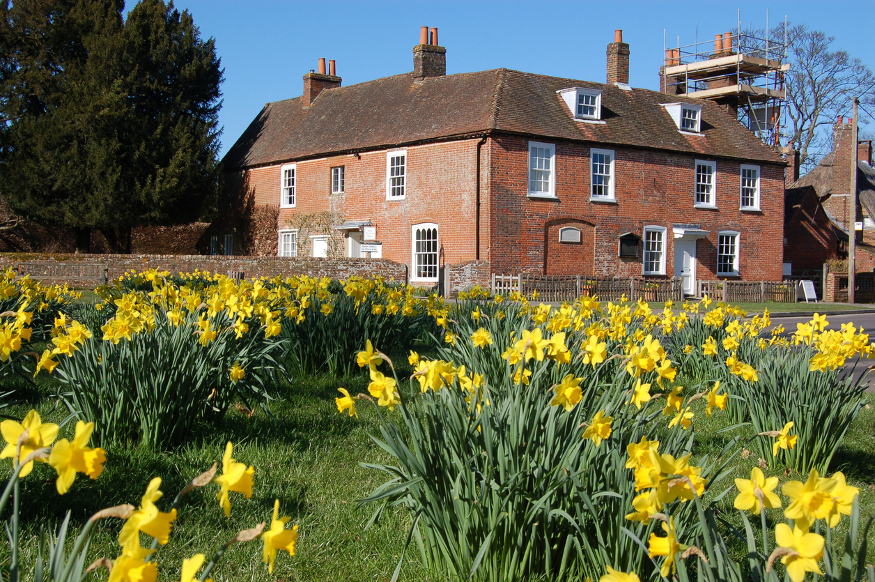Literary days out: Jane Austen's House in Chawton, a square, redbrick building, seen from across the road through bunches of daffodils growing on the village green.