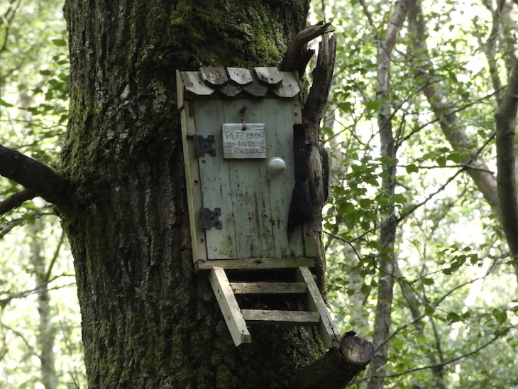 Literary days out: a miniature wooden door mounted onto a tree trunk in a forest
