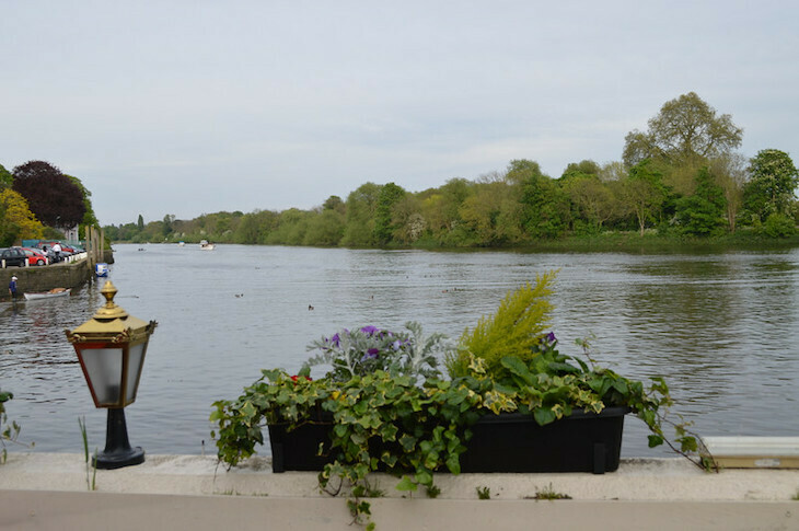 Best pub gardens London: A view of the Thames from the London Apprentice beer garden, with trees on the opposite bank disappearing to a vanishing point