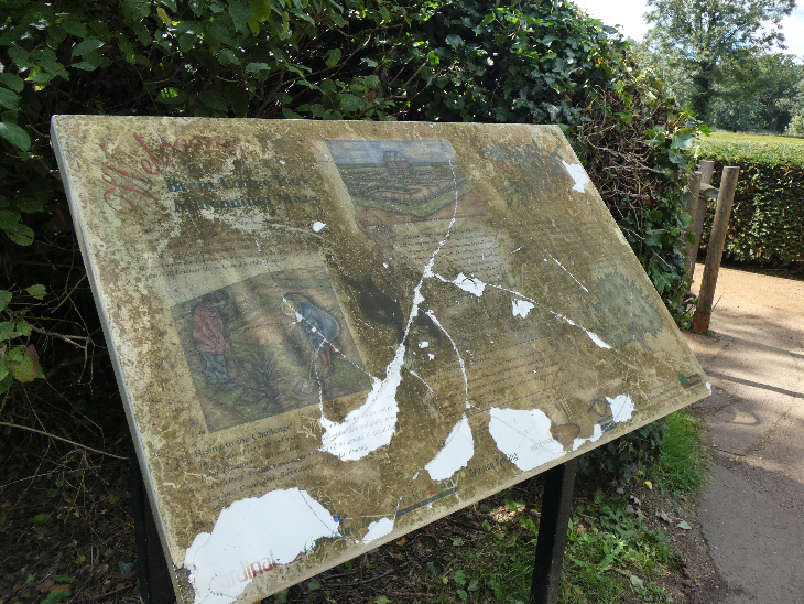 An information board alongside a hedge, but it's so dirty you can barely read it.