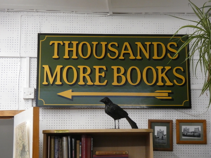 Inside the book shop, with a stuffed crow sitting on top of a bookshelf, and a sign saying 'Thousands More Books' with an arrow pointing left