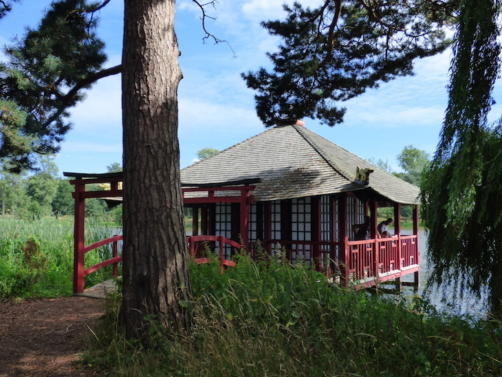A Japanese tea house building on the edge of the lake at Hever Castle