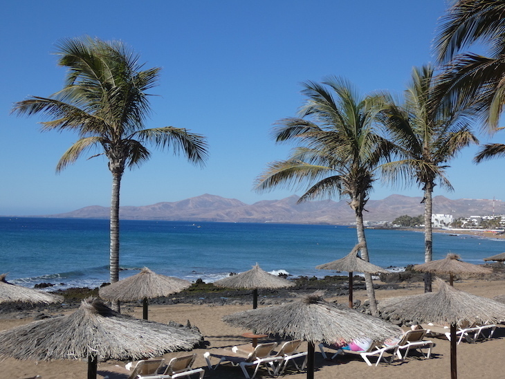 A beach with palm trees in puerto del carmen