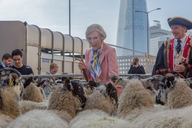 Mary Berry herding sheep