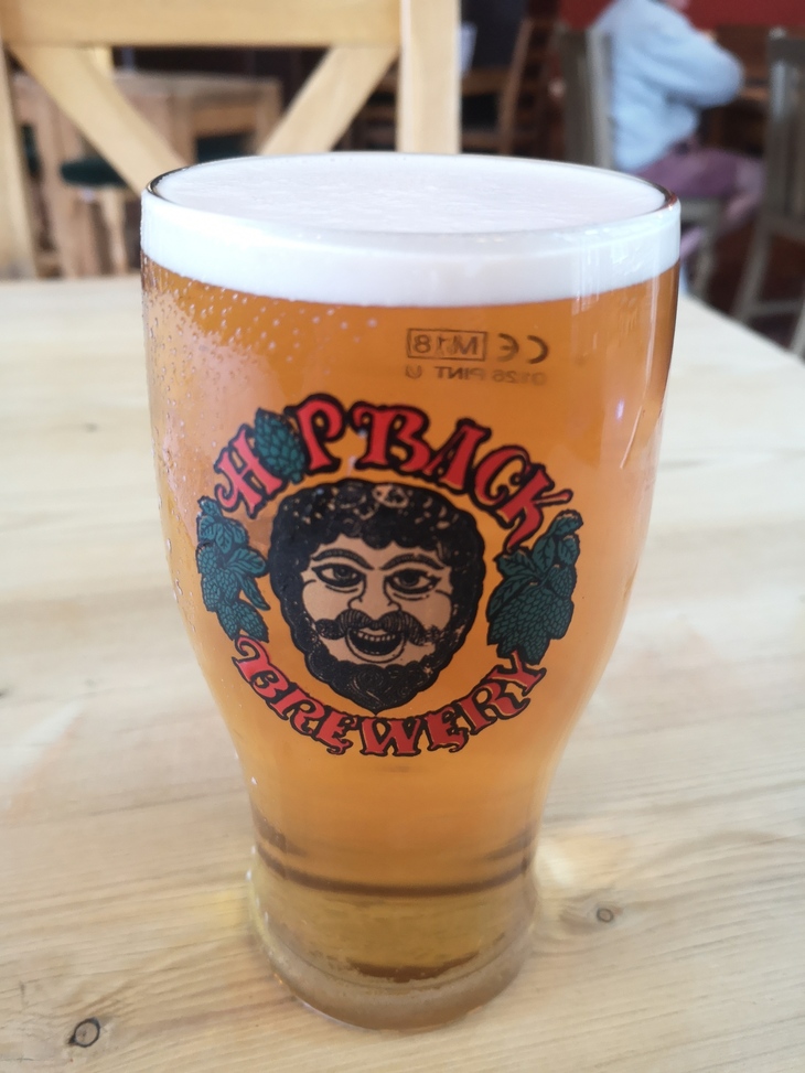 Brewery taprooms in London: A pint of Hopback beer