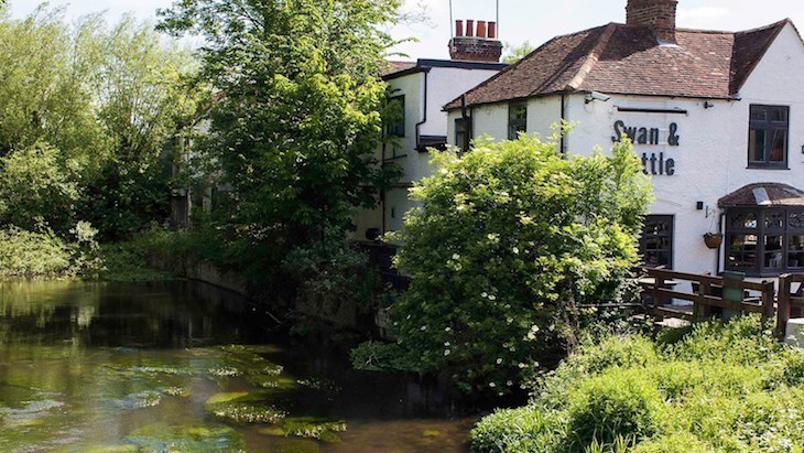 Best pub gardens London: a white pub next to a leafy canal