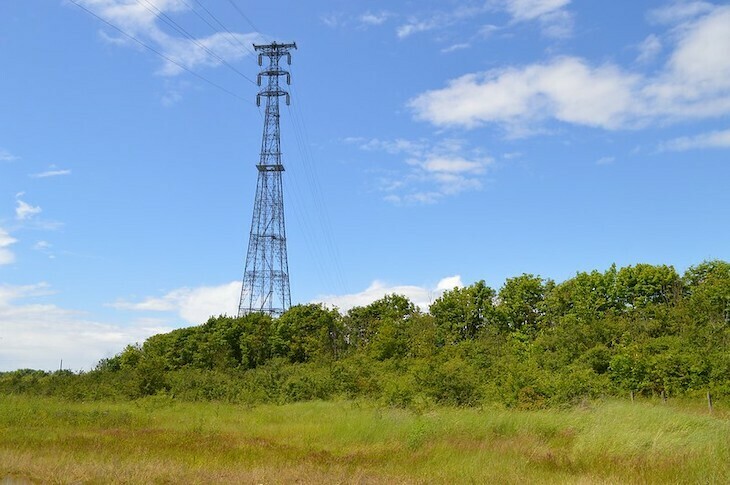 A tall electricity pylon climbs above the treeline backdropped by blue sky