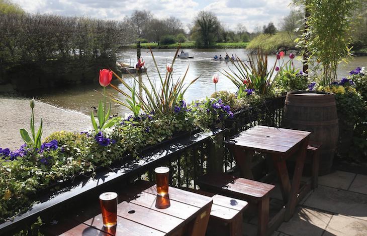 London's best beer gardens: The White Swan, Twickenham