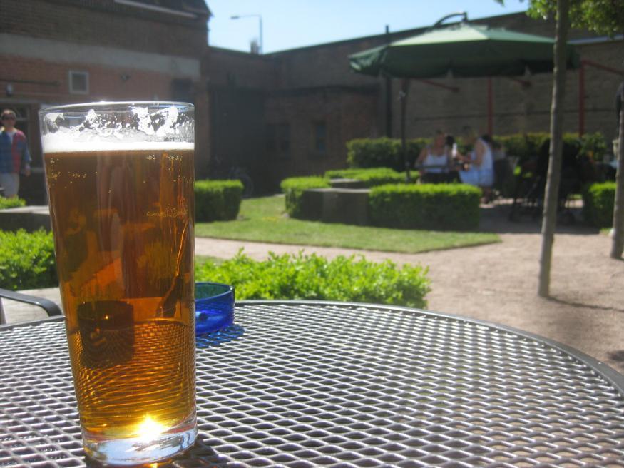 Best pub gardens London: Sunshine, beer and good times at The Dolphin
