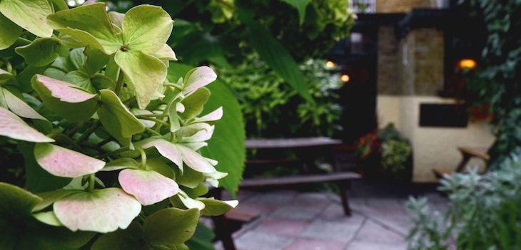 Best pub gardens in London, including The Swan in Chiswick