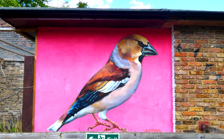 A mural painted onto a brick wall. It has a bright pink background and depicts a bird.