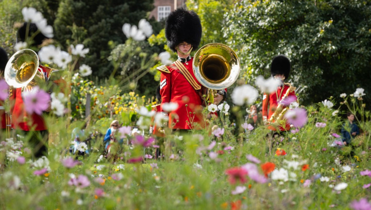 Soldiers in red tunics and bearskin hats visible behind flowers