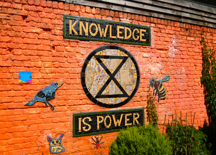 A brick wall painted orange with a 'Knowledge is power' mosaic, and a bird and bee painted on